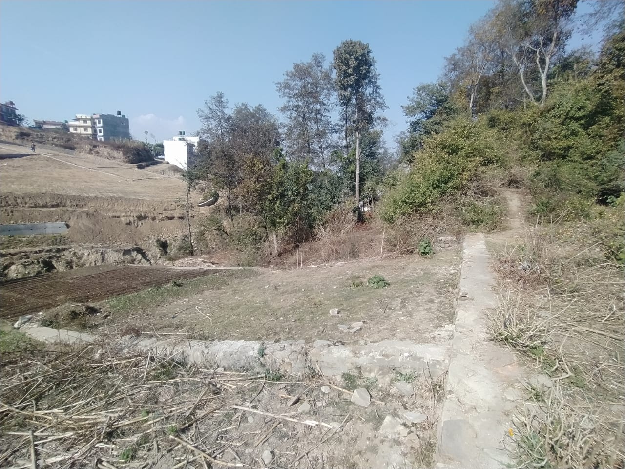 Picture of Mahalaxmi Municipality, Bagmati